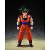Bandai Tamashii - Dragon Ball Z - Son Goku (il Saiyan dal cuore gentile) - SHF SHFiguarts