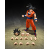 Bandai Tamashii - Dragon Ball Z - Son Goku (il Saiyan dal cuore gentile) - SHF SHFiguarts