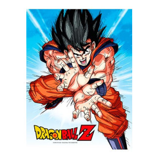 SD Toys - Poster in vetro di Dragonball Z "GOKU KAMEHA