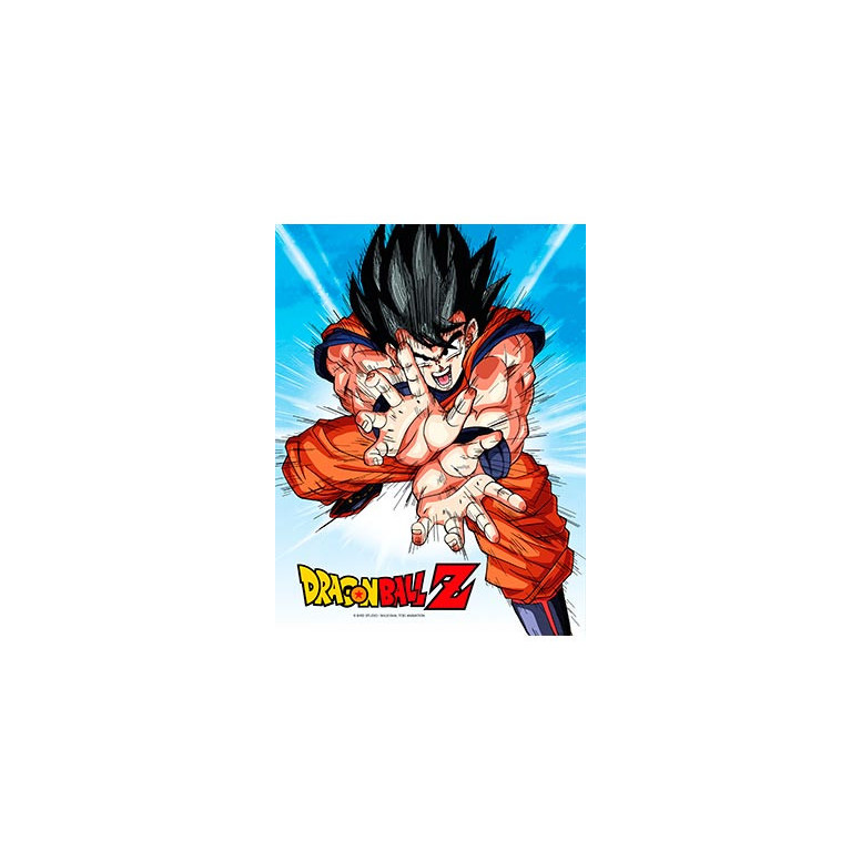 SD Toys - Poster in vetro di Dragonball Z "GOKU KAMEHA