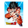 SD Toys - Poster in vetro di Dragonball Z "GOKU KAMEHA