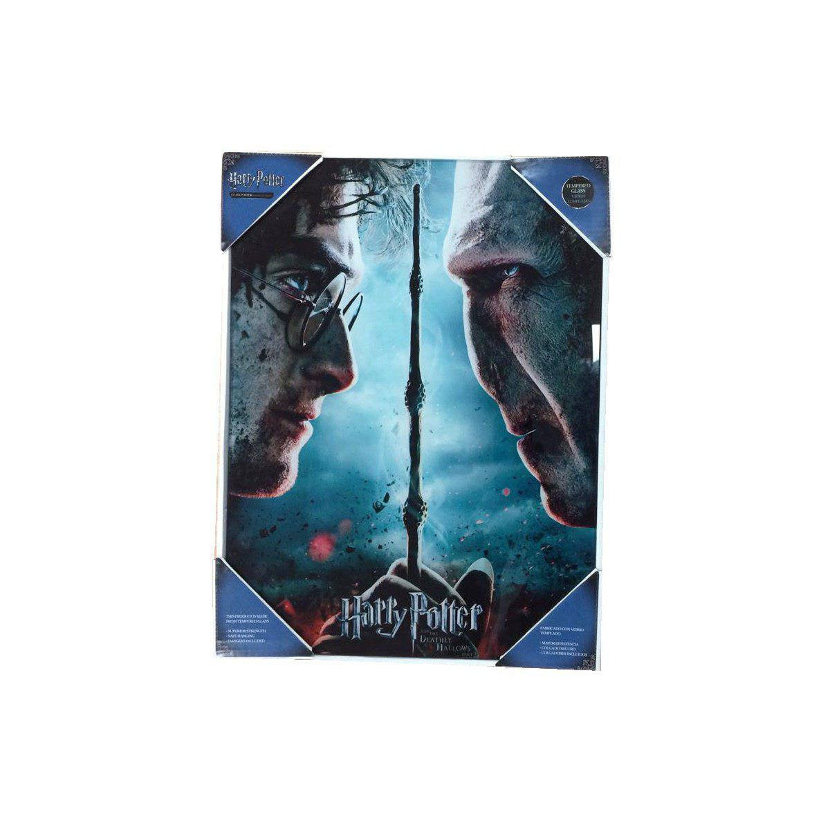 SD Toys - Poster in vetro di Harry Potter "Harry e Voldemort