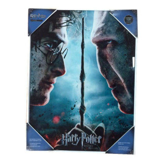 SD Toys - Poster in vetro di Harry Potter "Harry e Voldemort