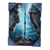 SD Toys - Poster in vetro di Harry Potter "Harry e Voldemort