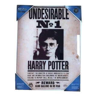 SD Toys - Poster in vetro di Harry Potter "Non desiderabile n. 1
