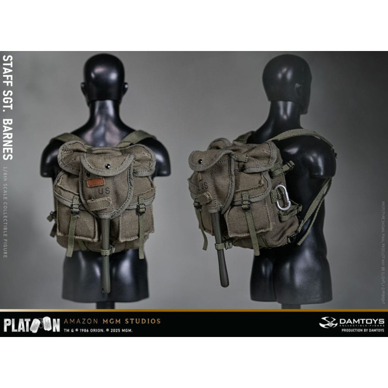 DAMTOYS - Plotone - Sergente maggiore Barnes 1/6 da collezione