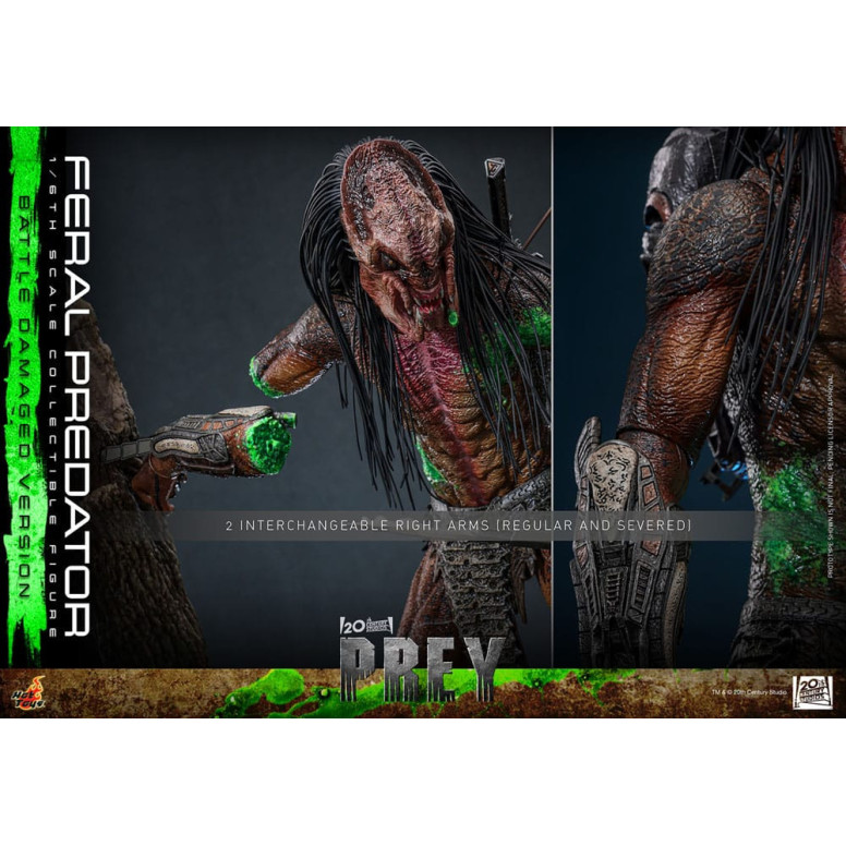 Hot Toys - Feral Predator (Versione danneggiata dalla battaglia) MMS 1/6 - Prey