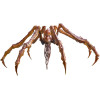 HIYA TOYS - Serie Base Squisita - Scilla - Godzilla x Kong: Il Nuovo Impero (2024)