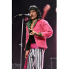 Neca Rolling Stones - Mick Jagger vestito (1975)