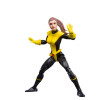 Hasbro Marvel Legends Serie The Astonishing X-Men - Kitty Pryde e Colosso