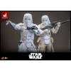 Hot Toys Star Wars - Comandante Snowtrooper 1/6 Esclusiva Hot Toys - L'Impero colpisce ancora