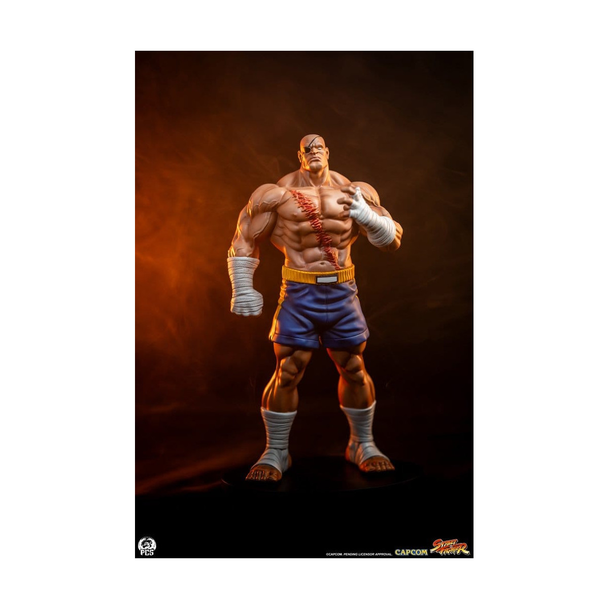 PCS - Street Fighter: Set di statue di Sagat e Juli in scala 1:10 di Street Jam