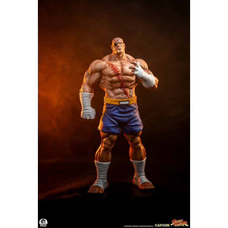 PCS - Street Fighter: Set di statue di Sagat e Juli in scala 1:10 di Street Jam