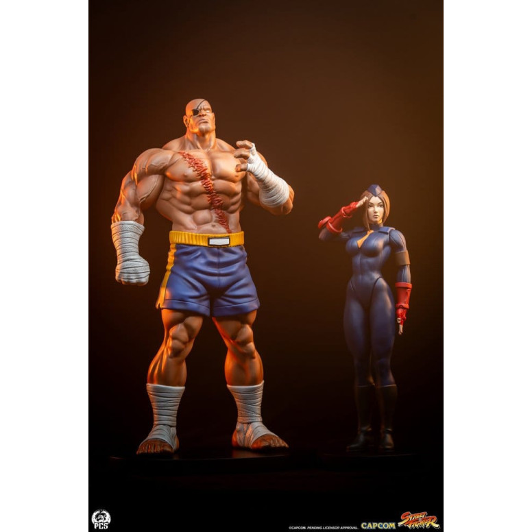 PCS - Street Fighter: Set di statue di Sagat e Juli in scala 1:10 di Street Jam