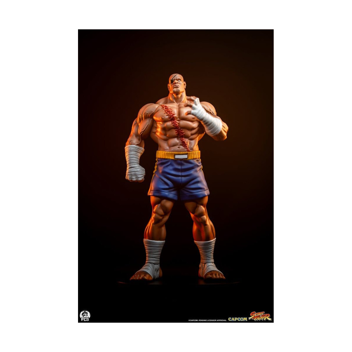 PCS - Street Fighter: Set di statue di Sagat e Juli in scala 1:10 di Street Jam