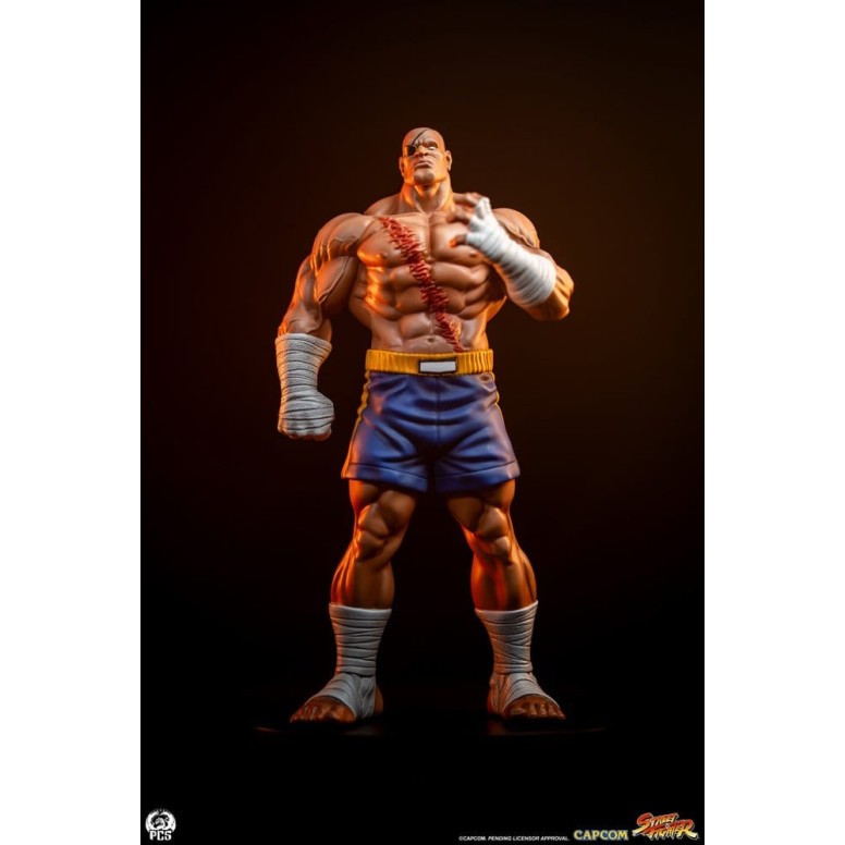 PCS - Street Fighter: Set di statue di Sagat e Juli in scala 1:10 di Street Jam