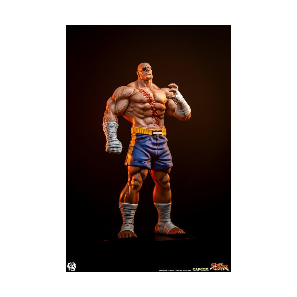 PCS - Street Fighter: Set di statue di Sagat e Juli in scala 1:10 di Street Jam