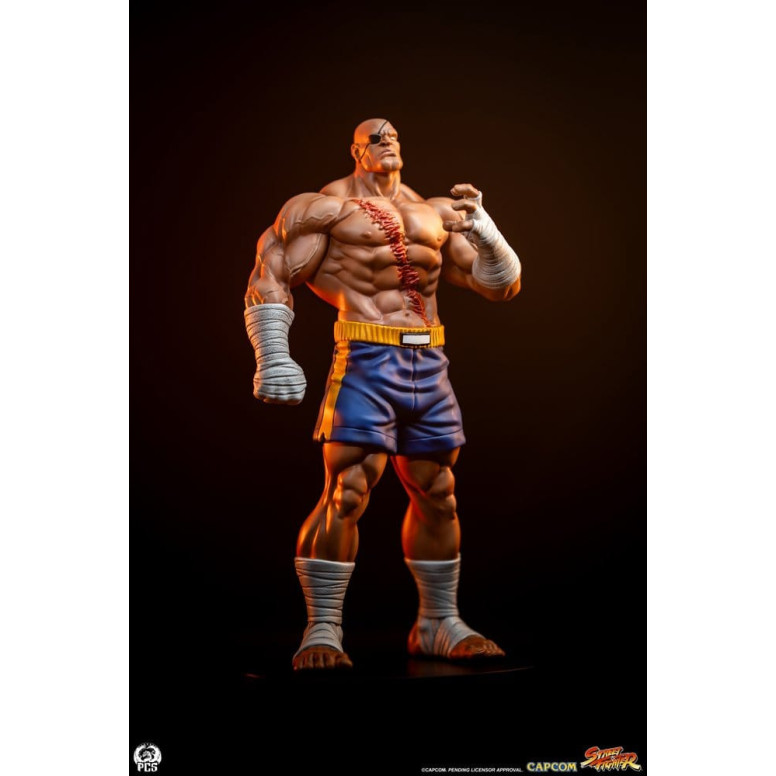 PCS - Street Fighter: Set di statue di Sagat e Juli in scala 1:10 di Street Jam