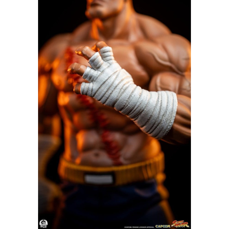 PCS - Street Fighter: Set di statue di Sagat e Juli in scala 1:10 di Street Jam