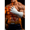 PCS - Street Fighter: Set di statue di Sagat e Juli in scala 1:10 di Street Jam
