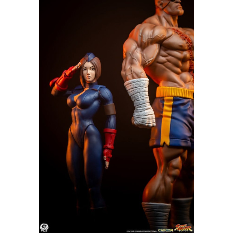 PCS - Street Fighter: Set di statue di Sagat e Juli in scala 1:10 di Street Jam