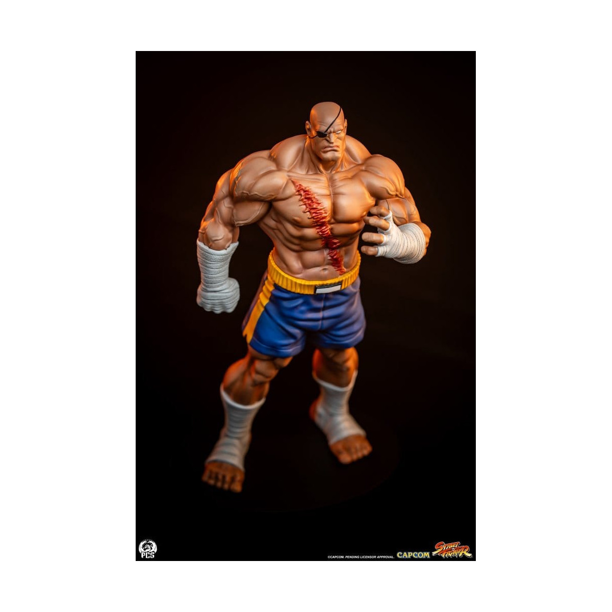 PCS - Street Fighter: Set di statue di Sagat e Juli in scala 1:10 di Street Jam