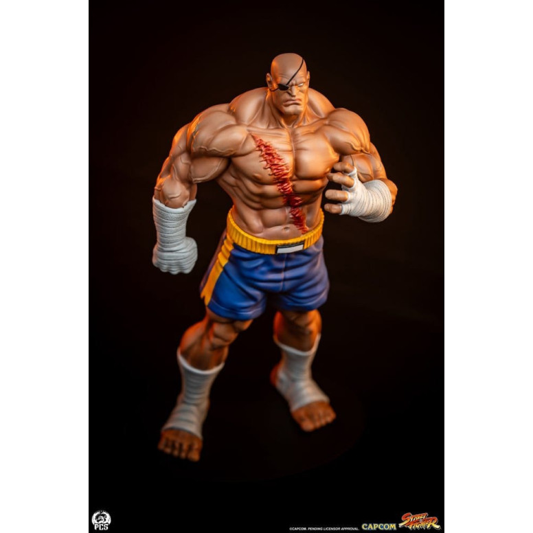 PCS - Street Fighter: Set di statue di Sagat e Juli in scala 1:10 di Street Jam