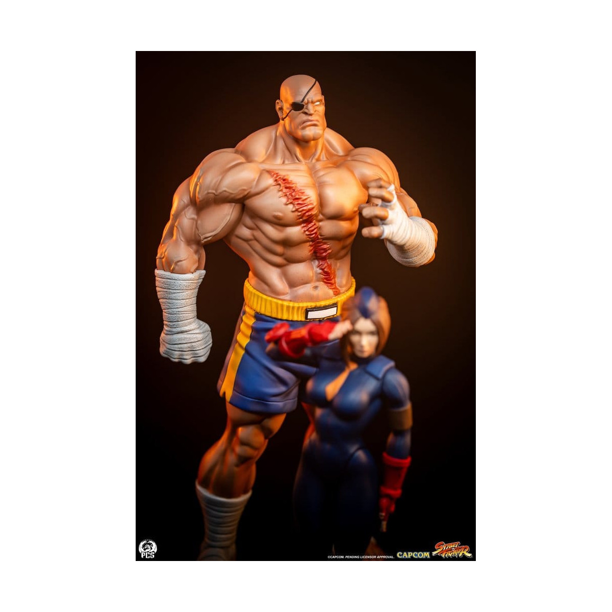 PCS - Street Fighter: Set di statue di Sagat e Juli in scala 1:10 di Street Jam