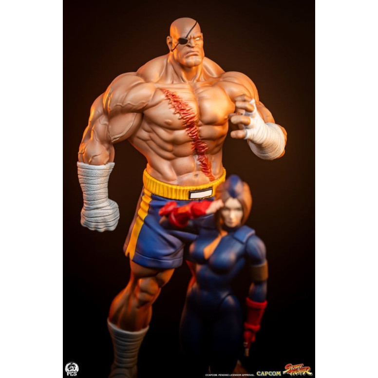 PCS - Street Fighter: Set di statue di Sagat e Juli in scala 1:10 di Street Jam