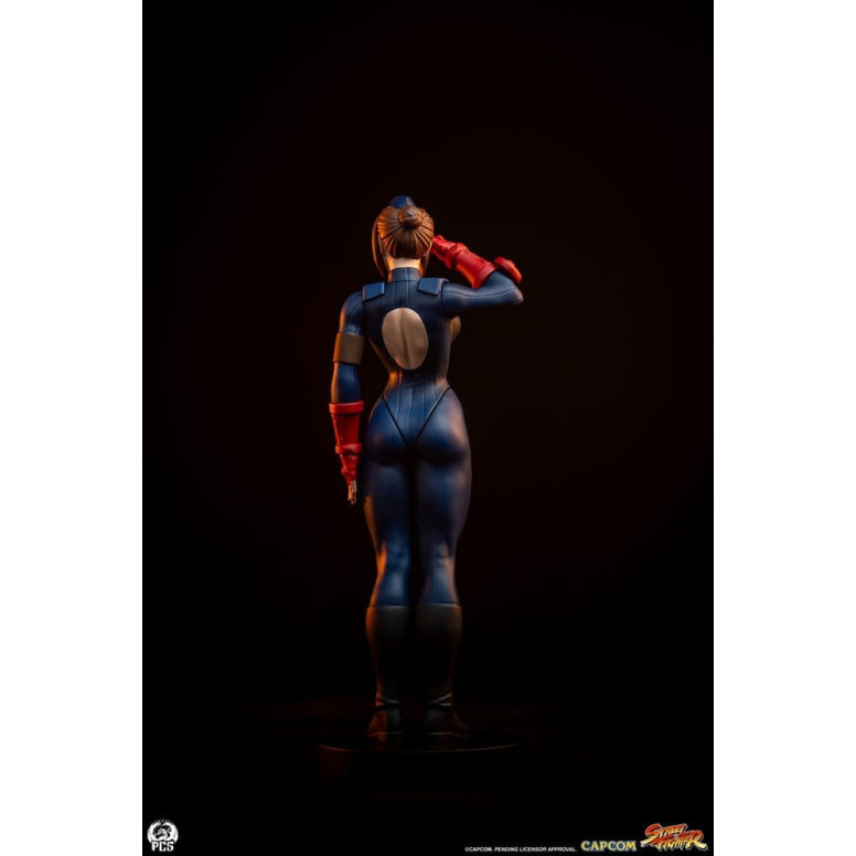 PCS - Street Fighter: Set di statue di Sagat e Juli in scala 1:10 di Street Jam