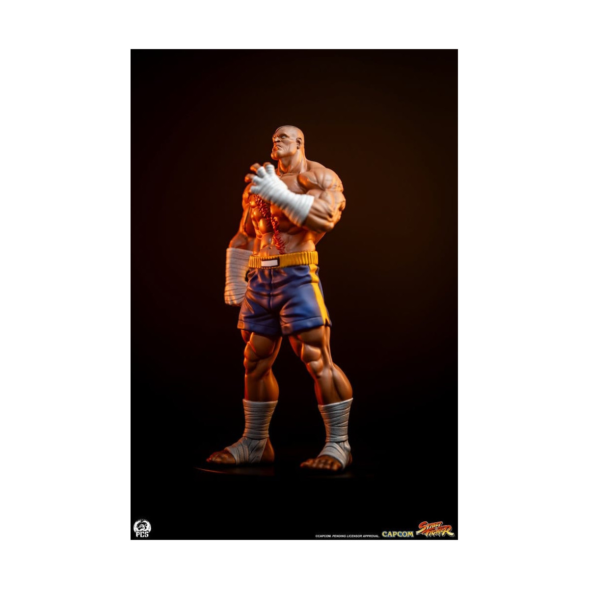PCS - Street Fighter: Set di statue di Sagat e Juli in scala 1:10 di Street Jam