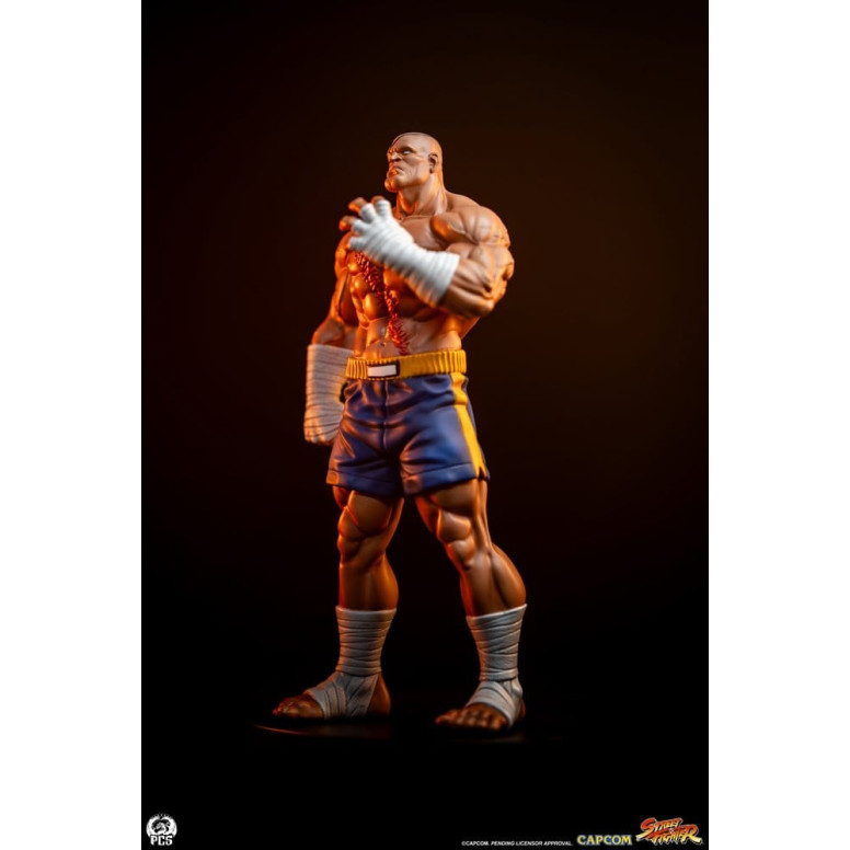 PCS - Street Fighter: Set di statue di Sagat e Juli in scala 1:10 di Street Jam