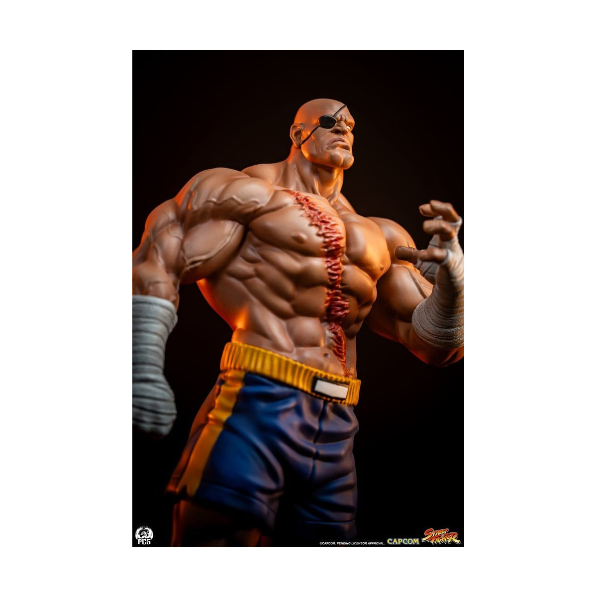 PCS - Street Fighter: Set di statue di Sagat e Juli in scala 1:10 di Street Jam