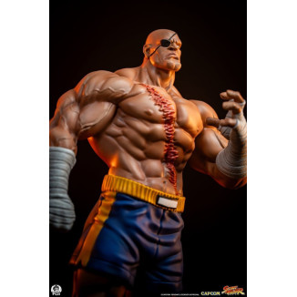 PCS - Street Fighter: Set di statue di Sagat e Juli in scala 1:10 di Street Jam