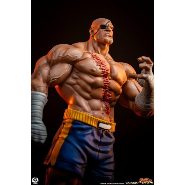 PCS - Street Fighter: Set di statue di Sagat e Juli in scala 1:10 di Street Jam