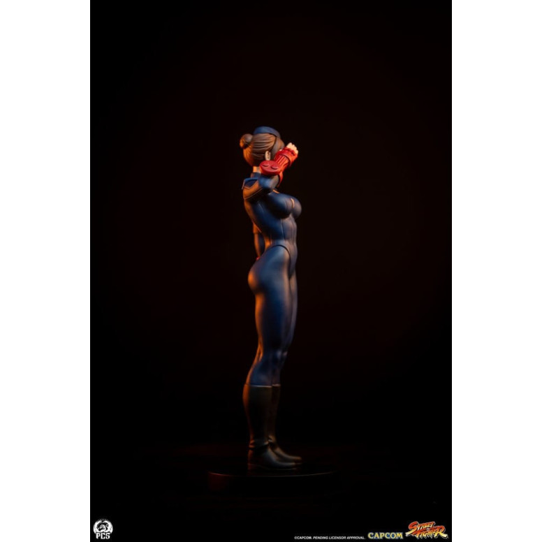 PCS - Street Fighter: Set di statue di Sagat e Juli in scala 1:10 di Street Jam