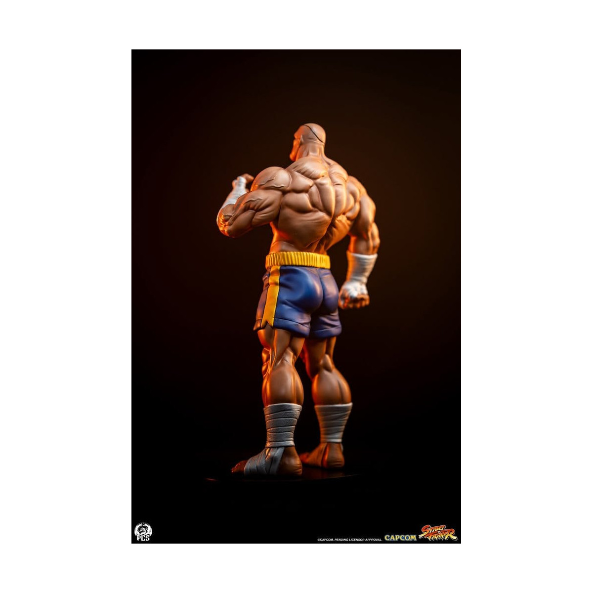 PCS - Street Fighter: Set di statue di Sagat e Juli in scala 1:10 di Street Jam