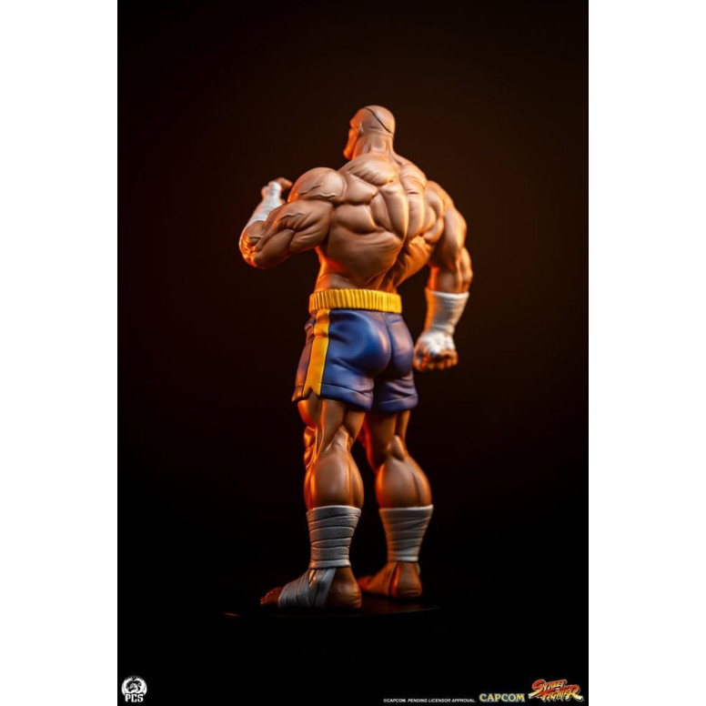 PCS - Street Fighter: Set di statue di Sagat e Juli in scala 1:10 di Street Jam