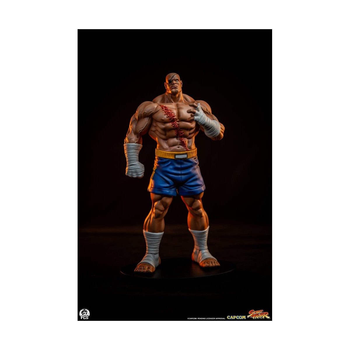 PCS - Street Fighter: Set di statue di Sagat e Juli in scala 1:10 di Street Jam