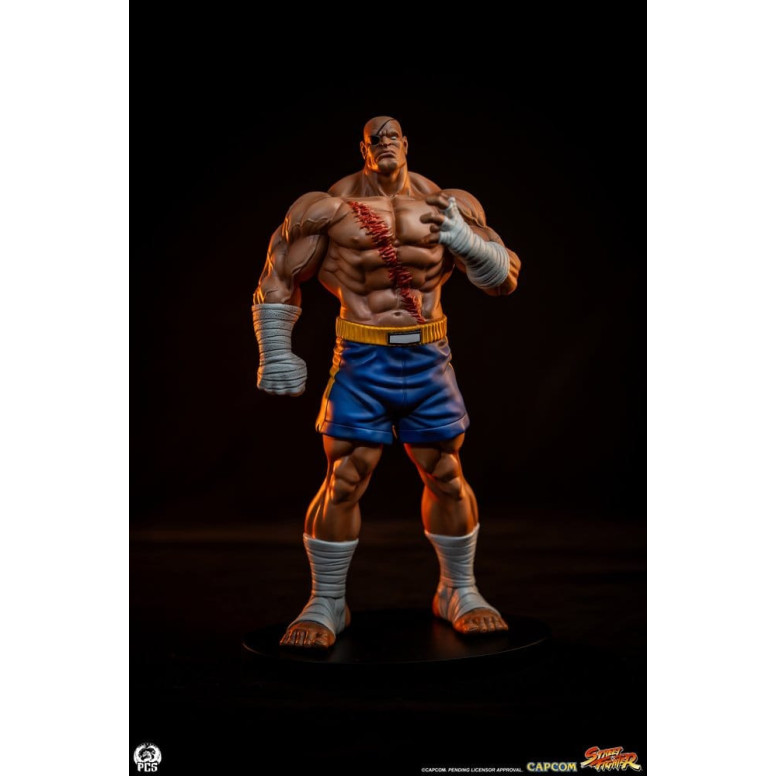 PCS - Street Fighter: Set di statue di Sagat e Juli in scala 1:10 di Street Jam