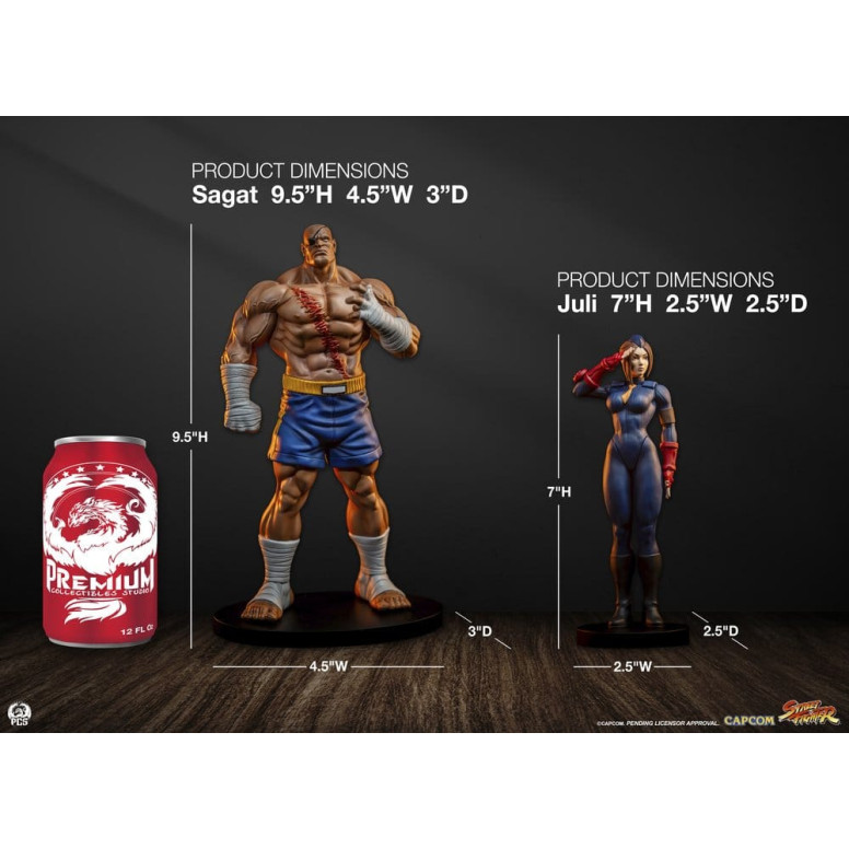 PCS - Street Fighter: Set di statue di Sagat e Juli in scala 1:10 di Street Jam