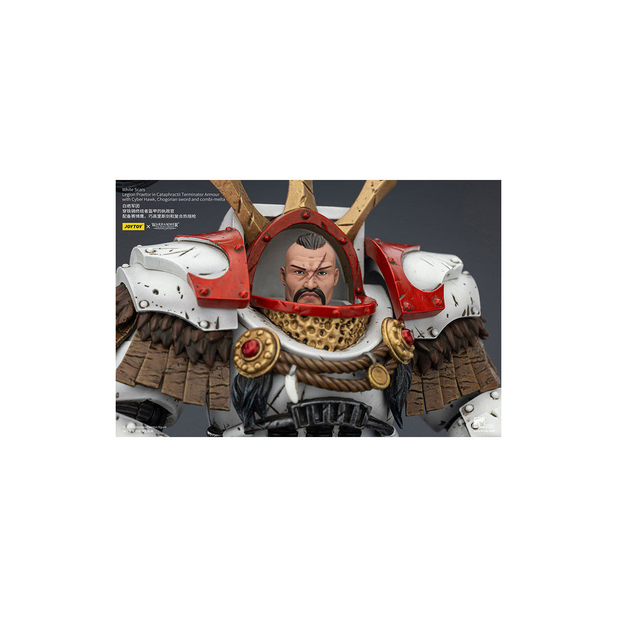 JoyToy - White Scars - Pretore della Legione in armatura Cataphractii Terminator con Cyber Hawk, spada Chogorian e combi-melta 1