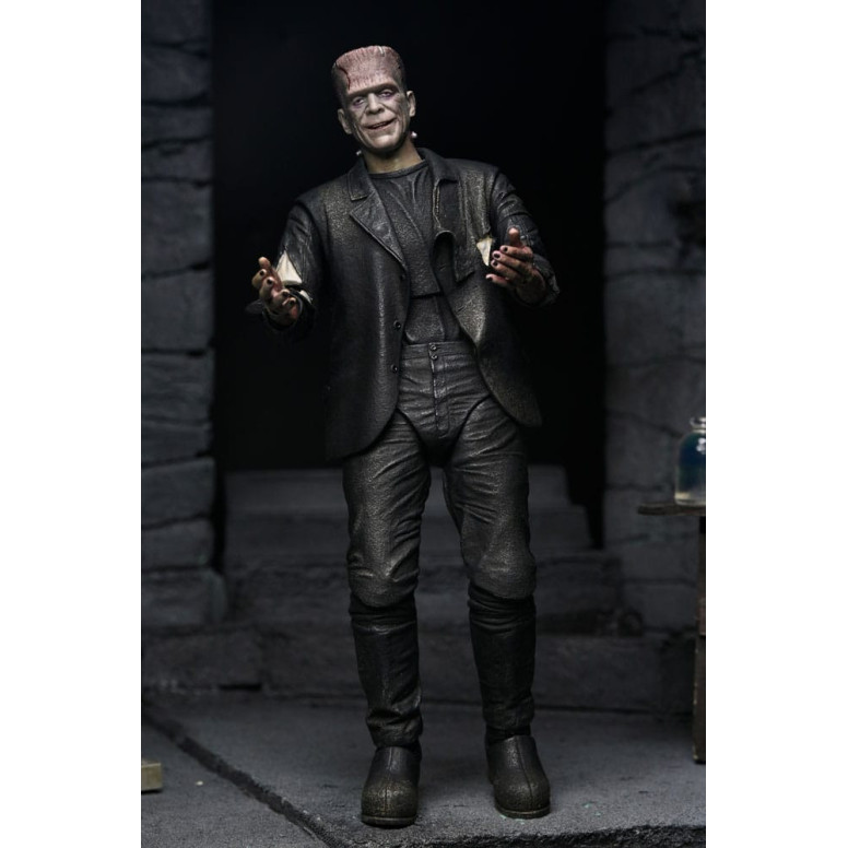 NECA Universal Monsters - Confezione da 2 pezzi Bride of Frankenstein 90° Anniversario Il mostro e il suo compagno