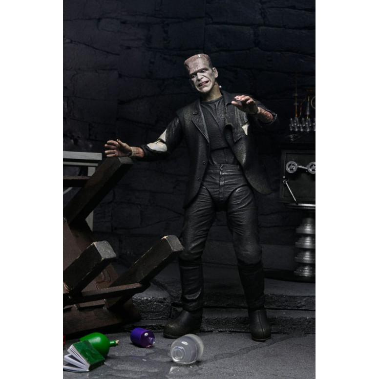 NECA Universal Monsters - Confezione da 2 pezzi Bride of Frankenstein 90° Anniversario Il mostro e il suo compagno