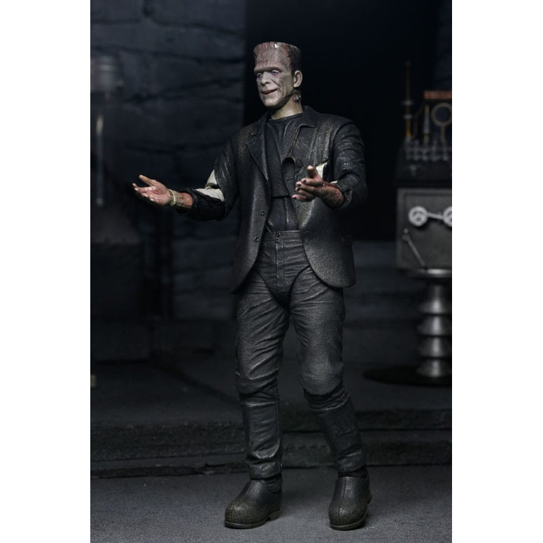 NECA Universal Monsters - Confezione da 2 pezzi Bride of Frankenstein 90° Anniversario Il mostro e il suo compagno