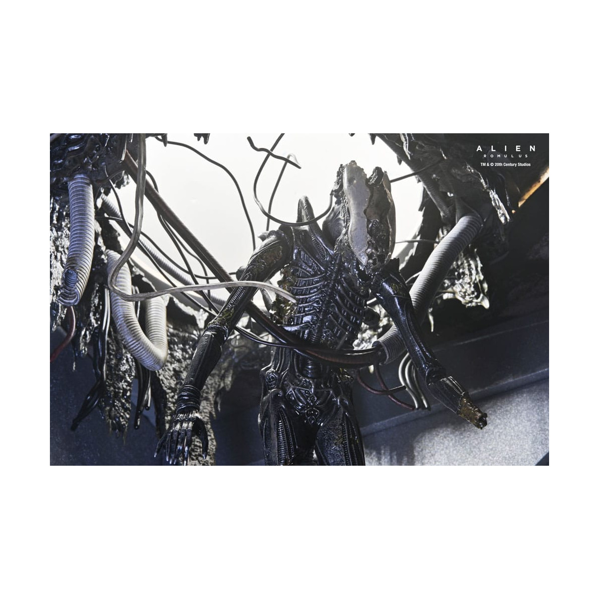 Neca - Alien: Romulus - Laboratorio Deluxe Sospeso Xenomorfo XX121