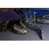 Neca - Alien: Romulus - Laboratorio Deluxe Sospeso Xenomorfo XX121