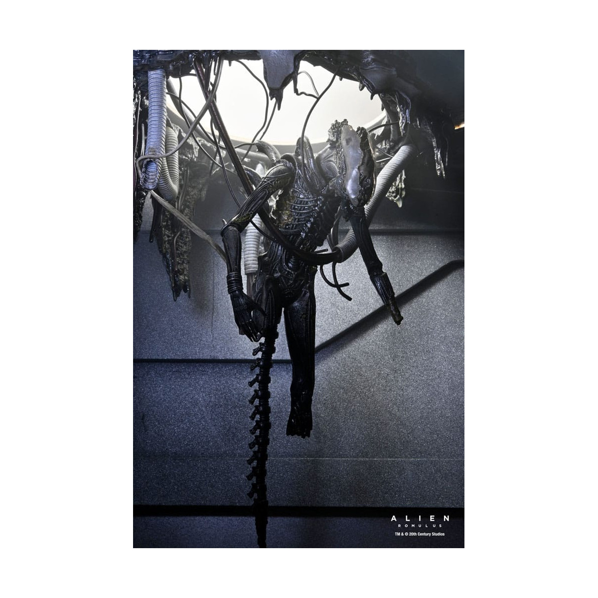 Neca - Alien: Romulus - Laboratorio Deluxe Sospeso Xenomorfo XX121