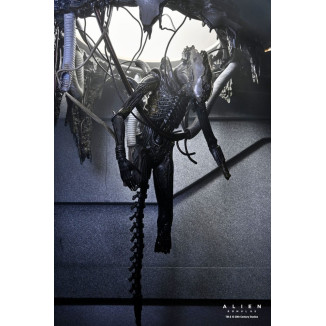 Neca - Alien: Romulus - Laboratorio Deluxe Sospeso Xenomorfo XX121