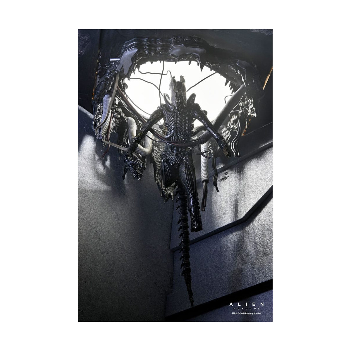 Neca - Alien: Romulus - Laboratorio Deluxe Sospeso Xenomorfo XX121